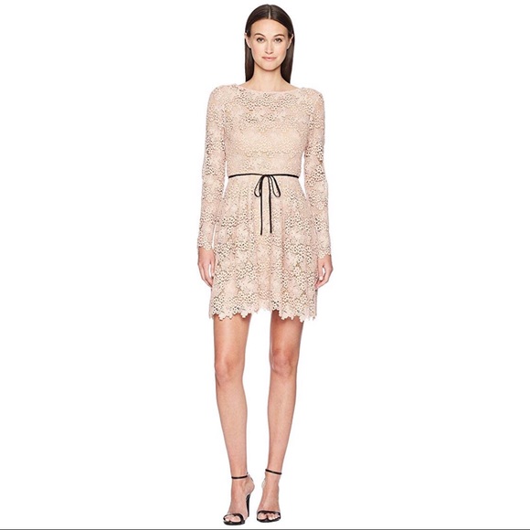 Badgley Mischka Dresses & Skirts - ML MONIQUE LHUILLIER
Lace Scoop Back Dress